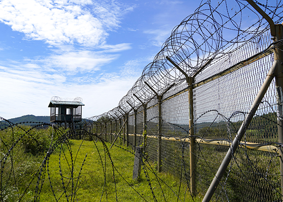 파주 DMZ 생태연구소
